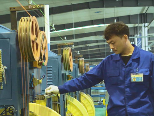 質量管控與技術服務 企業持續發展的雙引擎