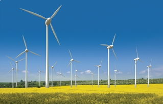 世貿通引領綠色能源新篇章 美國內華達州太陽能發電項目正式發布